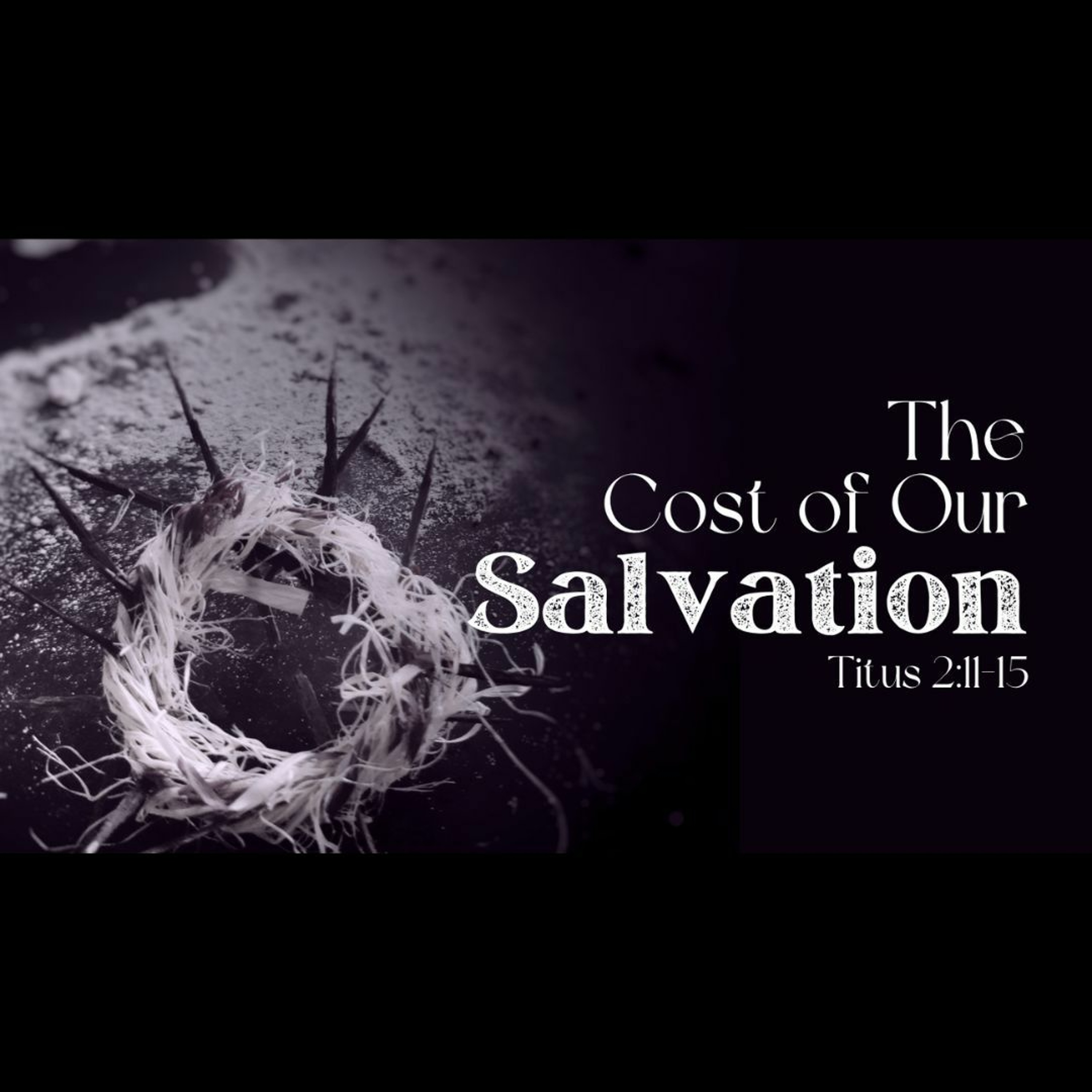 The Cost of Our Salvation