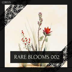 Cereus - Rare Blooms 002