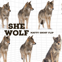 SHE WOLF (Matty Ghost Flip)