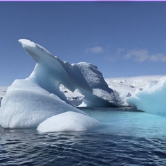 Polar