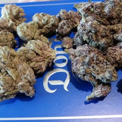 SoCal EyEz - Strayt Gas