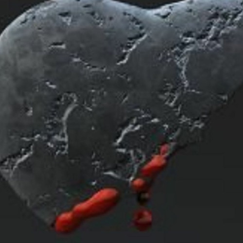 Heart Of Flesh