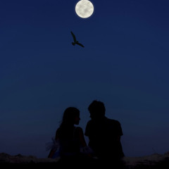 မွန်မြတ်ခြင်း - (နော်နော)