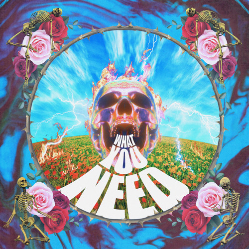 What You Need (feat. Thundercat & Channel Tres)