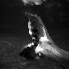 OpenLab Selectors [with Amatori]