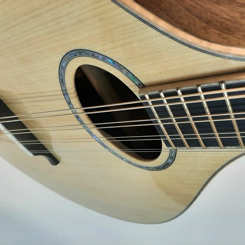Port Orford Cedar & Claro walnut, flat top irish bouzouki