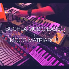 Buchla Music Easel + Moog Matriarch