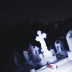 dust to ashes. (pink)