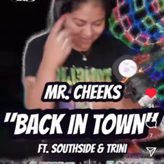 NEW MUSIC Mr. Cheeks Back In Town Cmx by djCRASHcuts