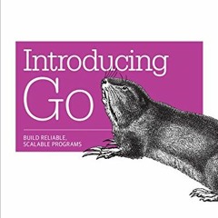 [PDF] ❤️ Read Introducing Go: Build Reliable, Scalable Programs by  Caleb Doxsey