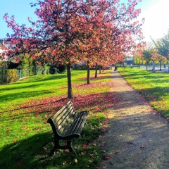 سورة آل عمران كاملة بالحدر