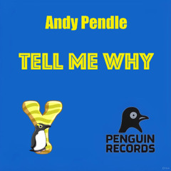 Andy Pendle - Tell Me Why (Sample)