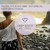 Artwork for Paul Lock, Pete Bellis & Tommy - Keep Loving You