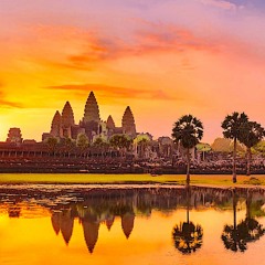 CONSIOUSNESS/SOFT BALLET/Covered Re.-6