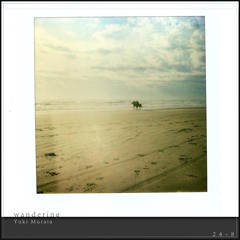 wandering (Anoice / Yuki Murata '24 Piano Sketches')