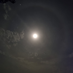 birthday under the stars