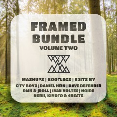 Framed Bundle | Volume Two by FNM | Mashups, Bootlegs & Edits