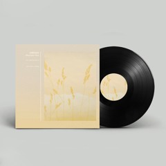 Adhémar - Mountain View [OSP004 | Oslated]