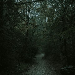 Light evening rain on a mountain road