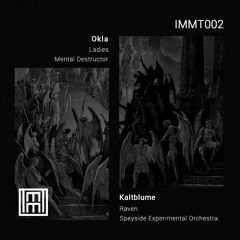 PREMIERE: Kaltblume - Speyside Experimental Orchestra [IMMT002]