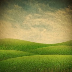 Polyester Pockets W 30013