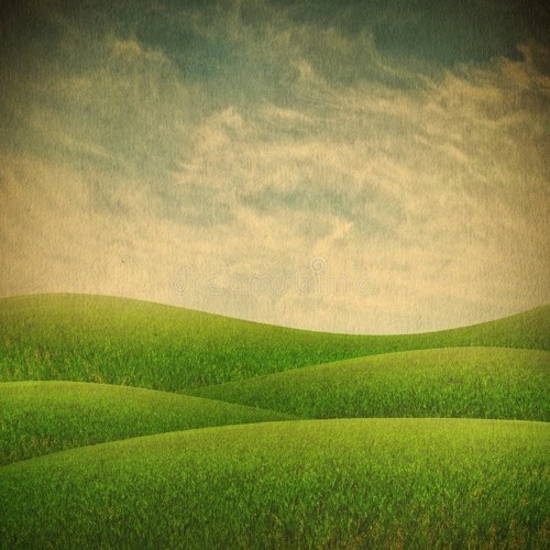 Polyester Pockets W 30013