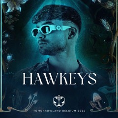 Hawkeys Live @ Tomorrowland 2024 (House Of Fortune Stage)