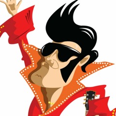 Mister sweet Talking USA