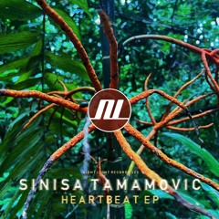 Sinisa Tamamovic - Heartbeat - Night Light Records
