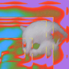 anger iss