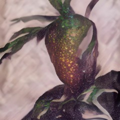 Starfruit (Prod. dcaff23)