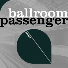Passenger (Paul Thomas & White-Akre Remix)