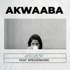 AKwaaba (Feat. Specikinging)