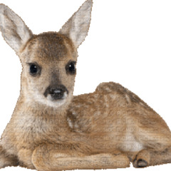 uwu dj set by ghelo 26212k25 numeral series 2000