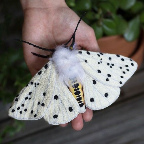 best of 2023 clips =)