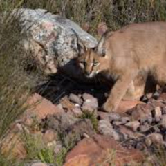 thats just how it is