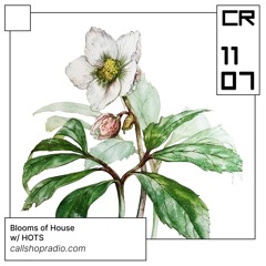Blooms of House w/ HOTS 11.07.24