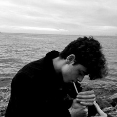 حيدر العابدي ll هيج احسلك يكلبي تقشمرت