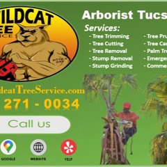 Arborist Tucson, AZ