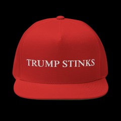 NCN - Trump Stinks! (J. Geils Band AI Parody)