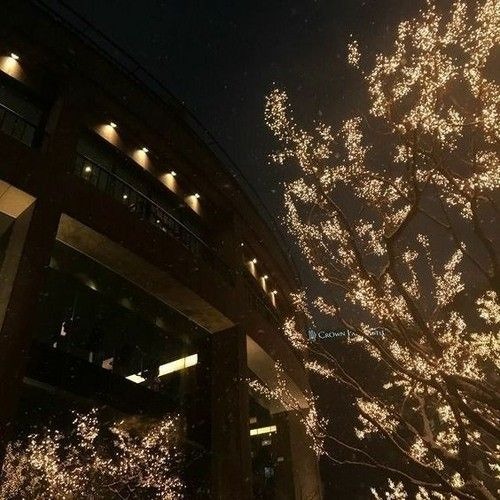 februxry + lloyd - same page [Saveani FM Exclusive]