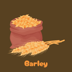 Barley
