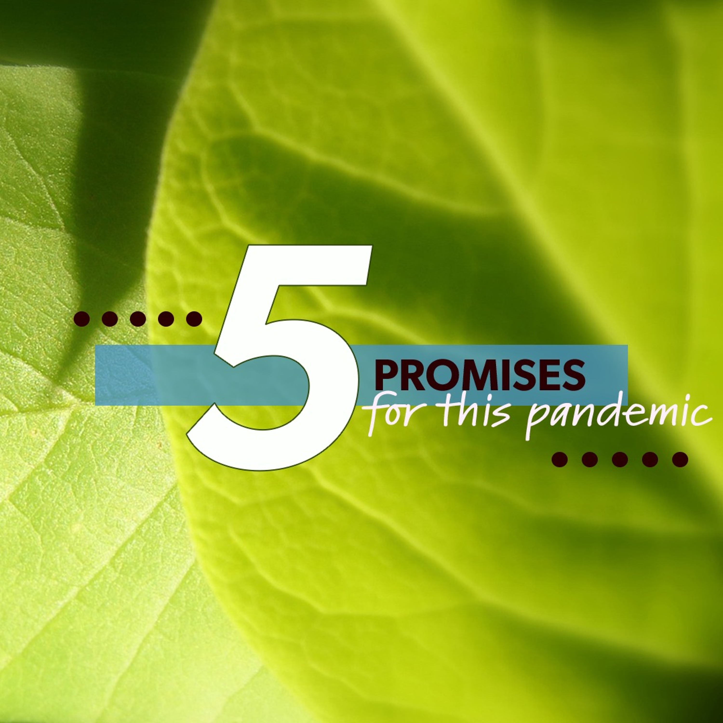 Promise 4 Protection - God Promises To Secure And Defend Us