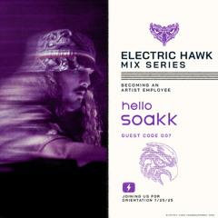 ELECTRIC HAWK MIX SERIES: 007 SOAKK