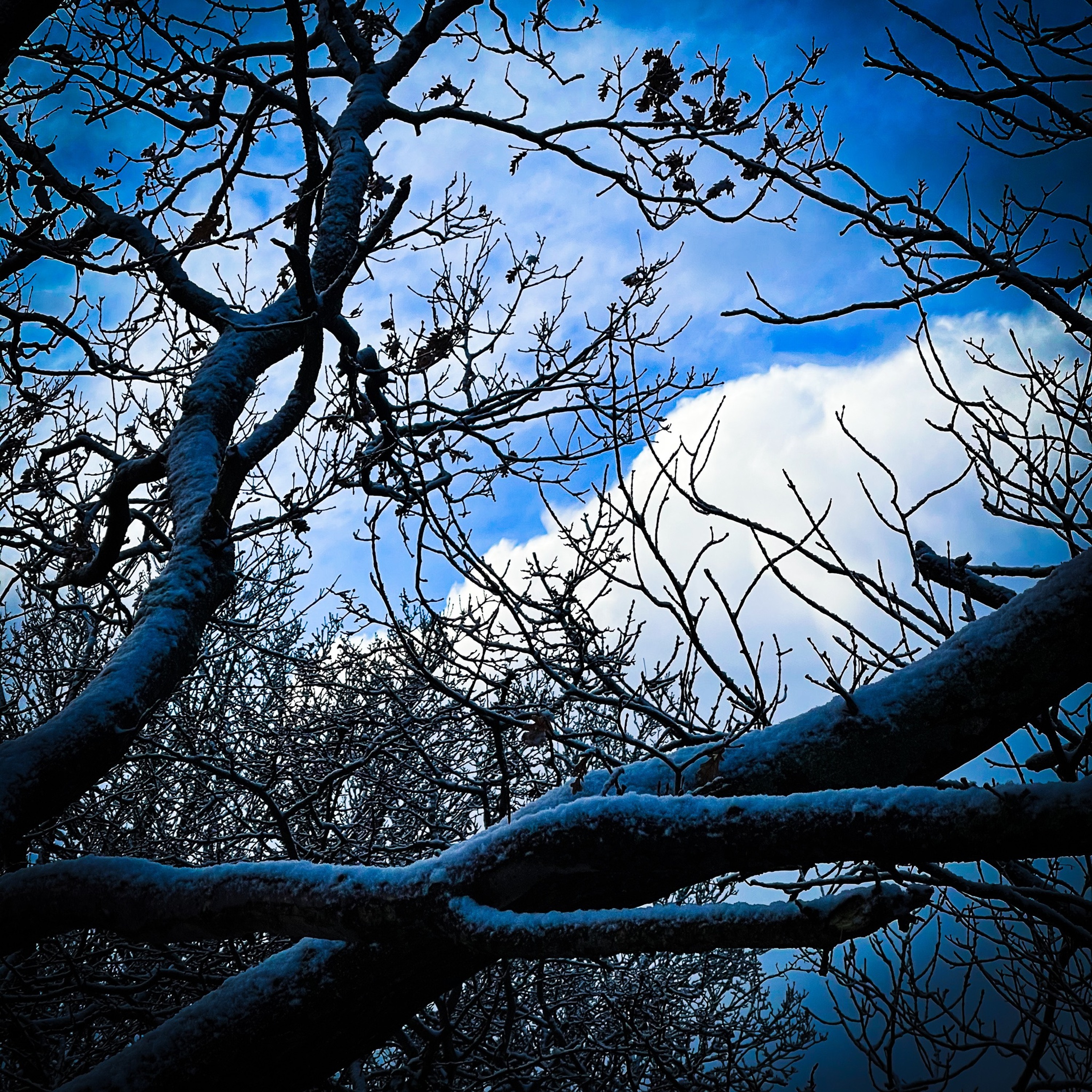 Winters Child episode artwork