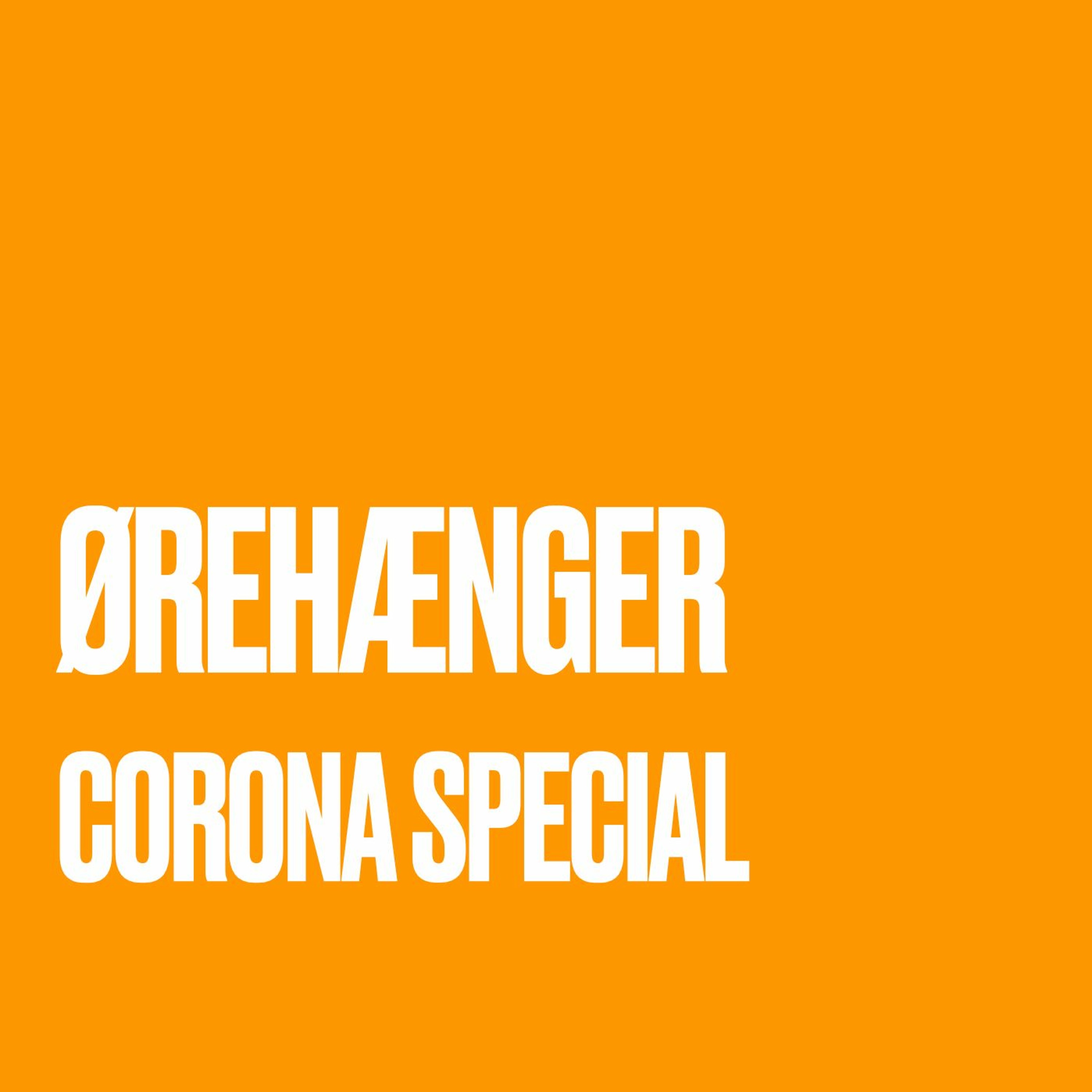 Ørehænger