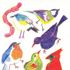birds prod hofbadge
