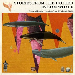 Various - Stories of the Indian Dotted Whale (Tape preview)