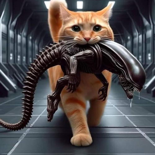 The Scriptorium of Longing