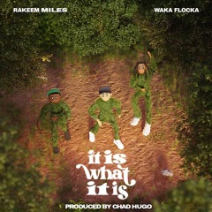 It Is What It Is (ft. Waka Flocka) prod. Chad Hugo